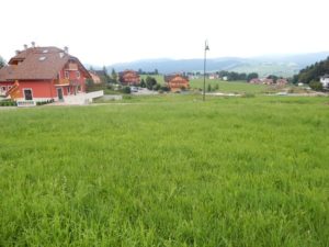 Via Belvedere