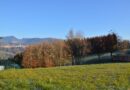 Terreno edificabile a Canove – zona Bettinadi